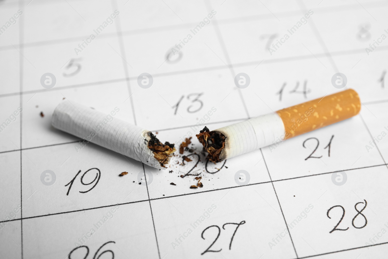 Photo of Cigarette stubs on calendar sheet, closeup. Quitting smoking concept