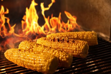 Photo of Cooking delicious fresh corn cobs on grilling grate in oven with burning firewood, closeup