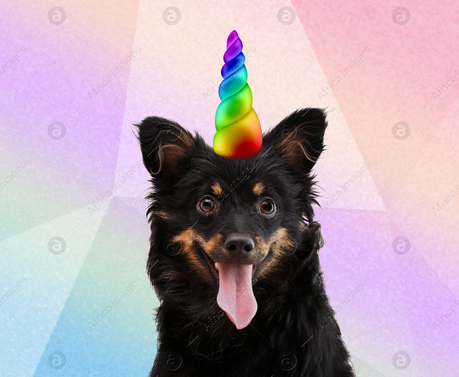 Image of Cute dog with rainbow unicorn horn on blurred background