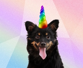 Image of Cute dog with rainbow unicorn horn on blurred background
