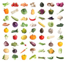 Image of Collection of different fresh vegetables on white background