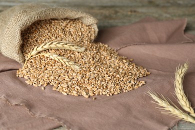 Photo of Sack with wheat grains on table. Cereal plant
