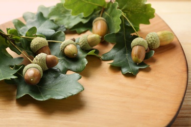 Photo of Acorns and oak leaves on wooden plate, closeup