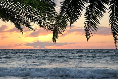 Image of Picturesque sunset on ocean, view through palm tree leaves