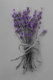 Bouquet beautiful lavender flowers on grey background, top view. Black and white photo with violet accent