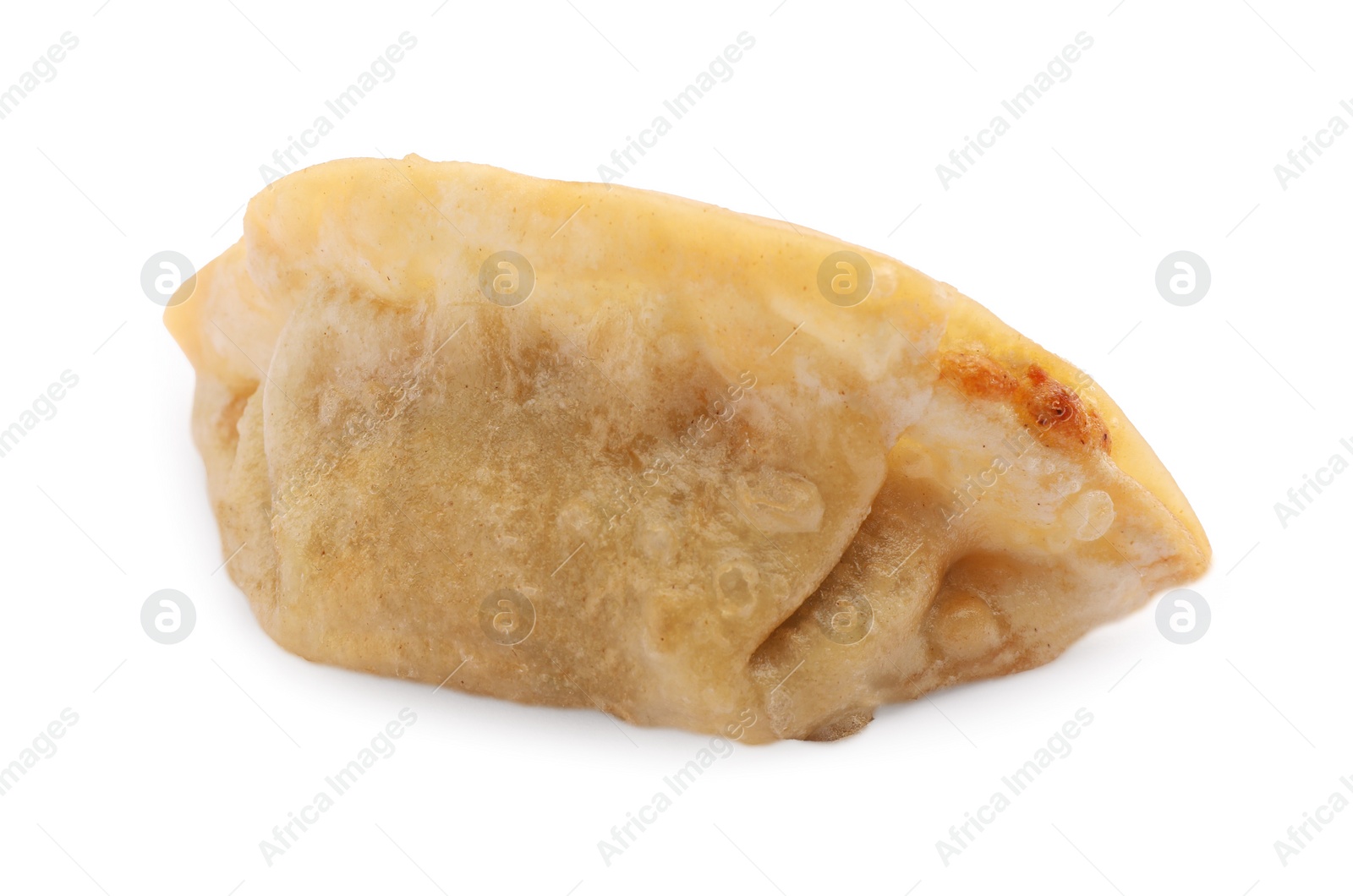 Photo of Delicious gyoza (asian dumpling) isolated on white