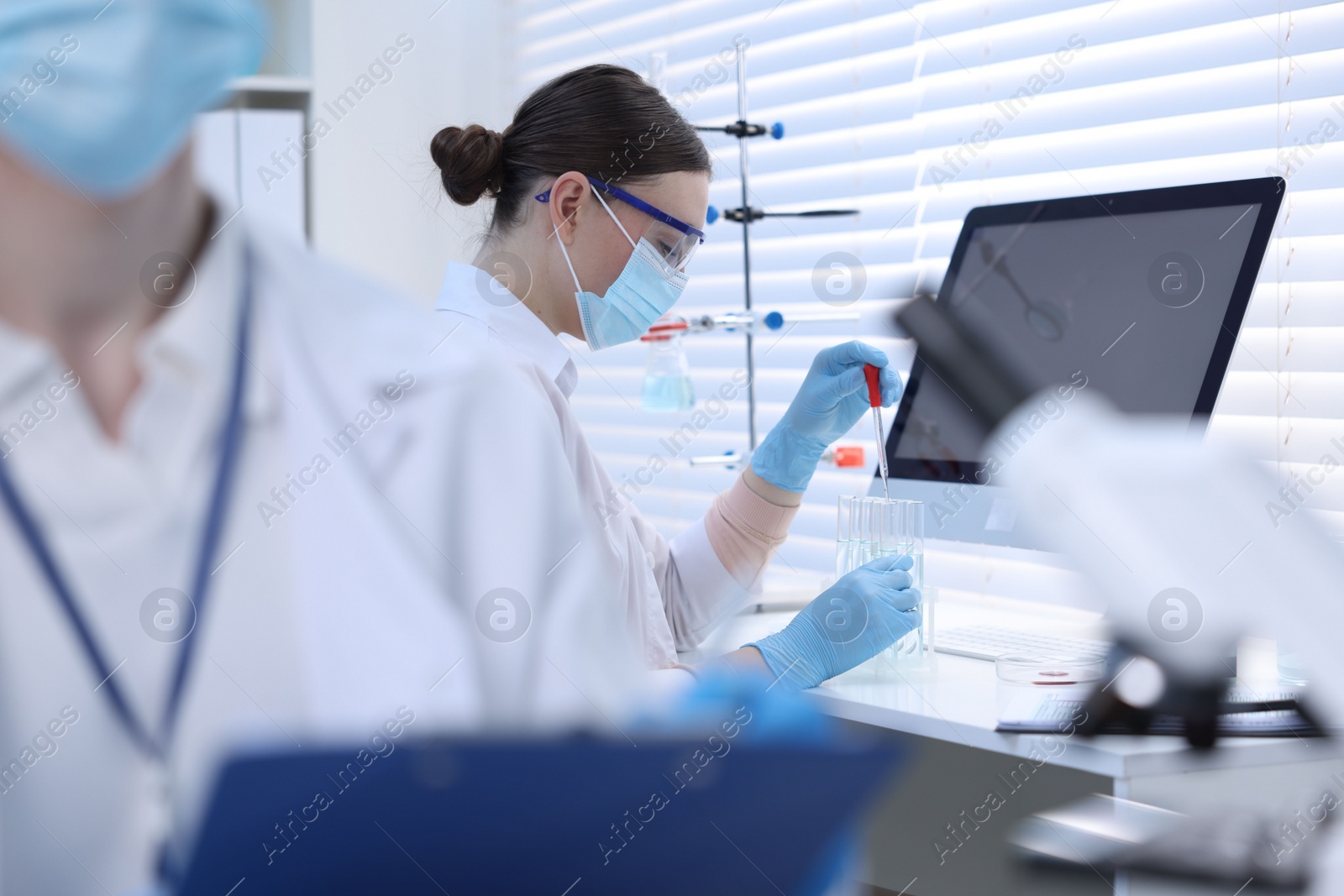 Photo of Scientists working with samples in laboratory. Medical research