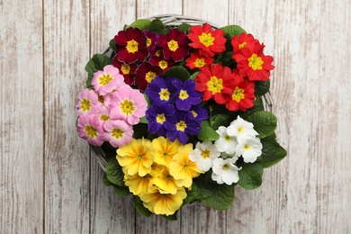 Photo of Primrose Primula Vulgaris flowers on white wooden background, top view. Spring season