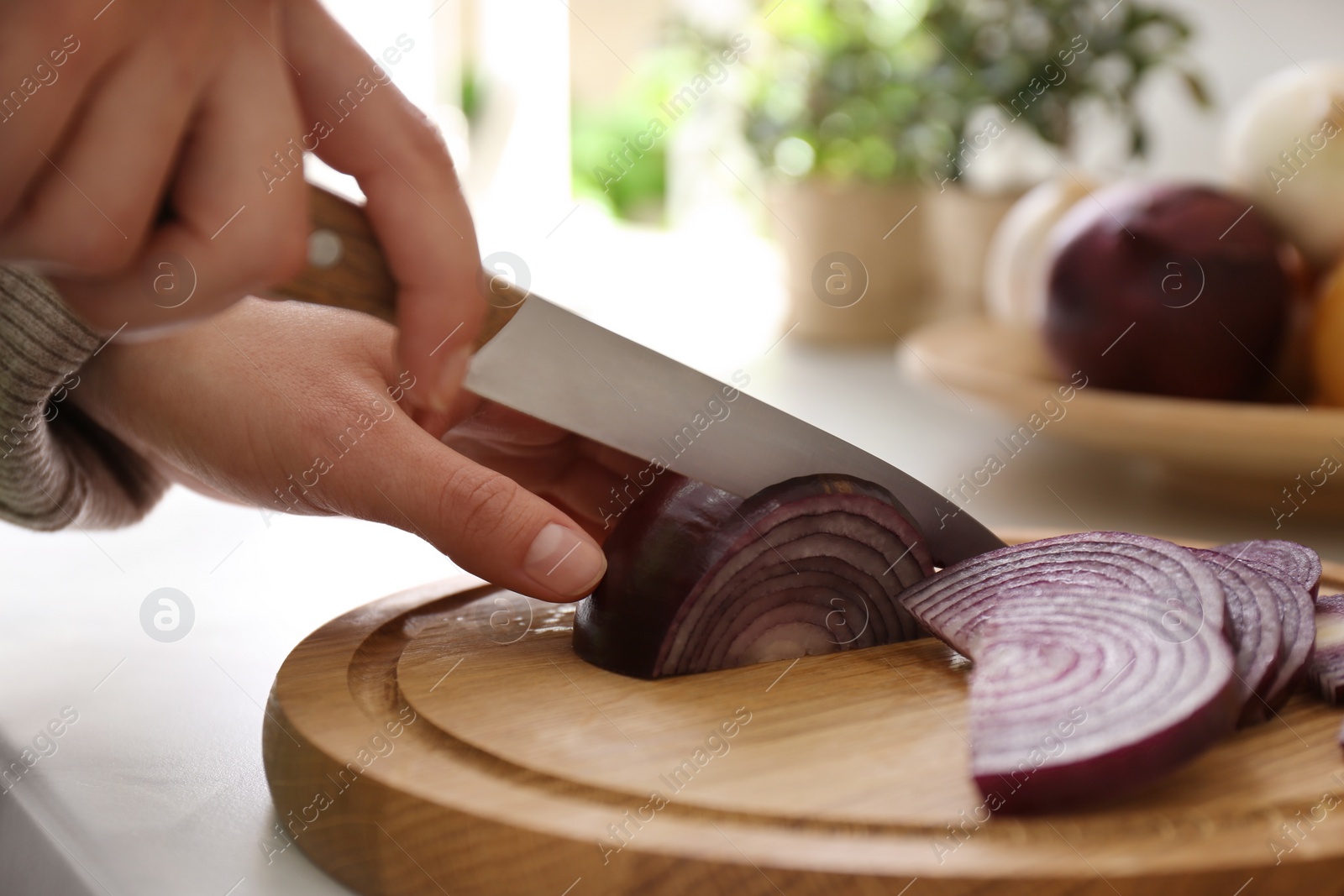 Photo of Woman cutting red onion into slices at countertop in kitchen, closeup