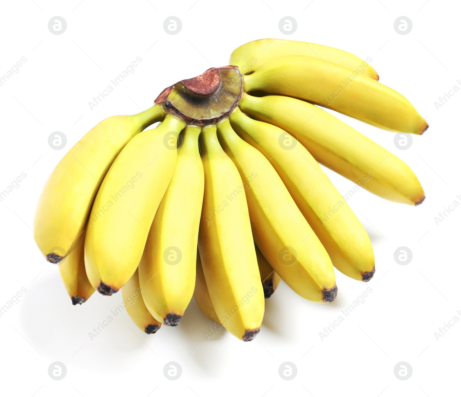 Photo of Bunch of ripe baby bananas on white background