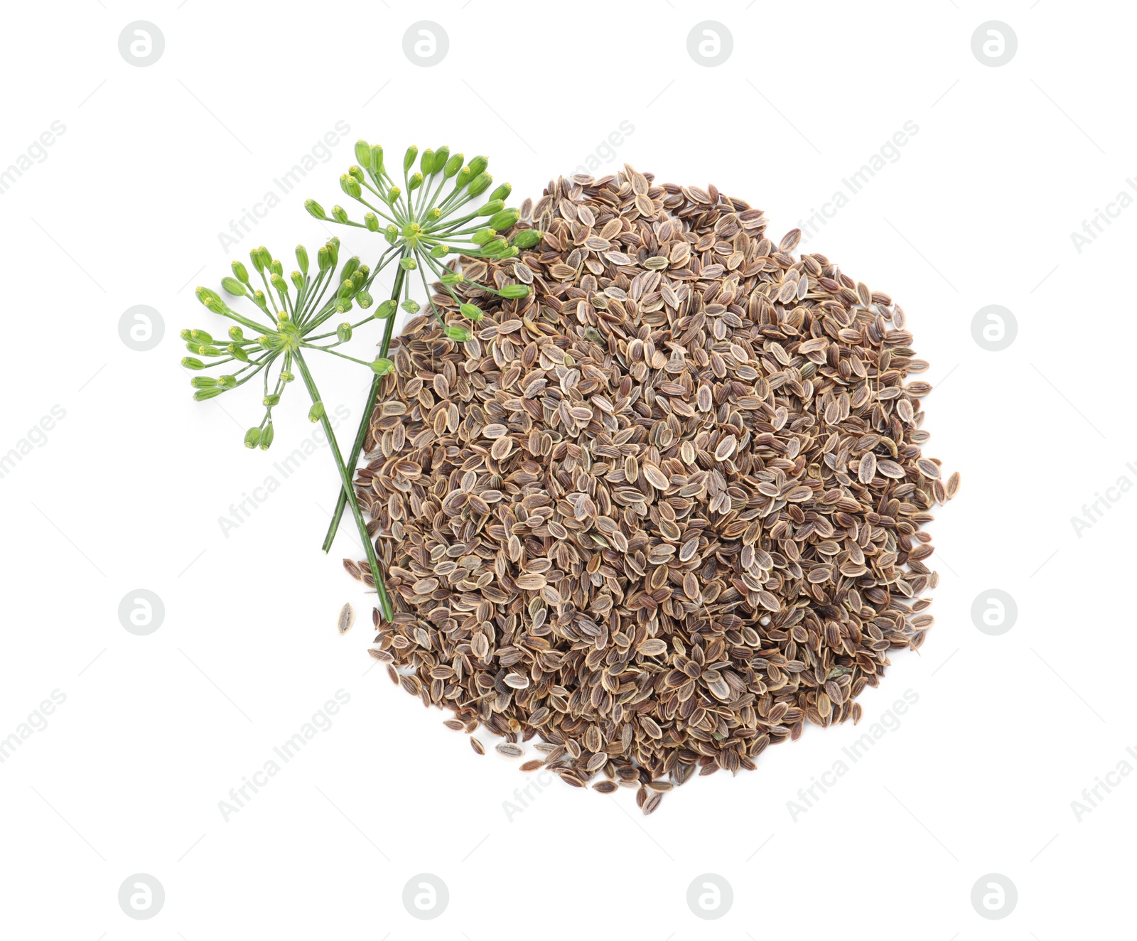 Photo of Heap of dry seeds and fresh dill flowers isolated on white, top view