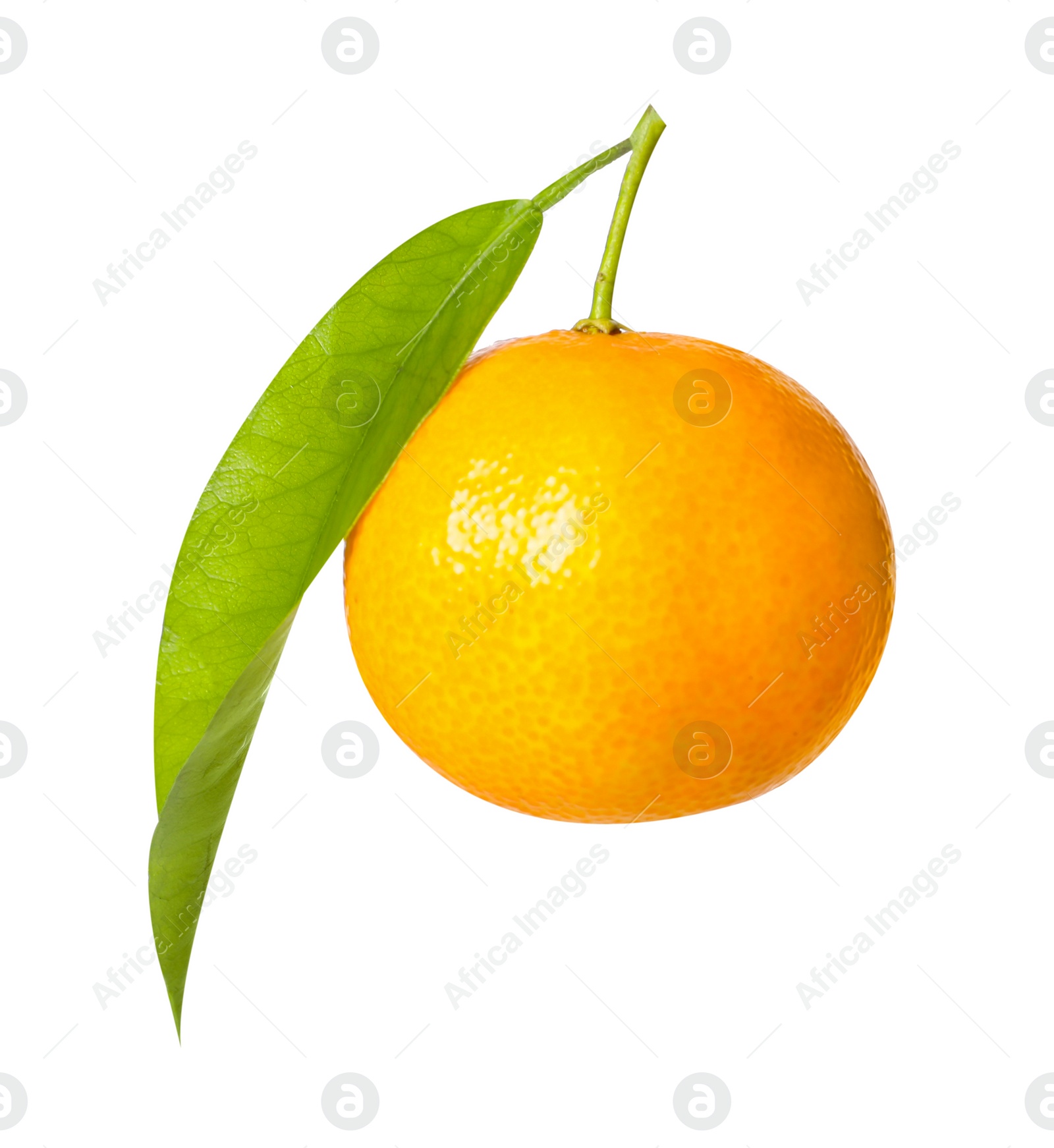 Photo of One fresh tangerine with green leaf isolated on white