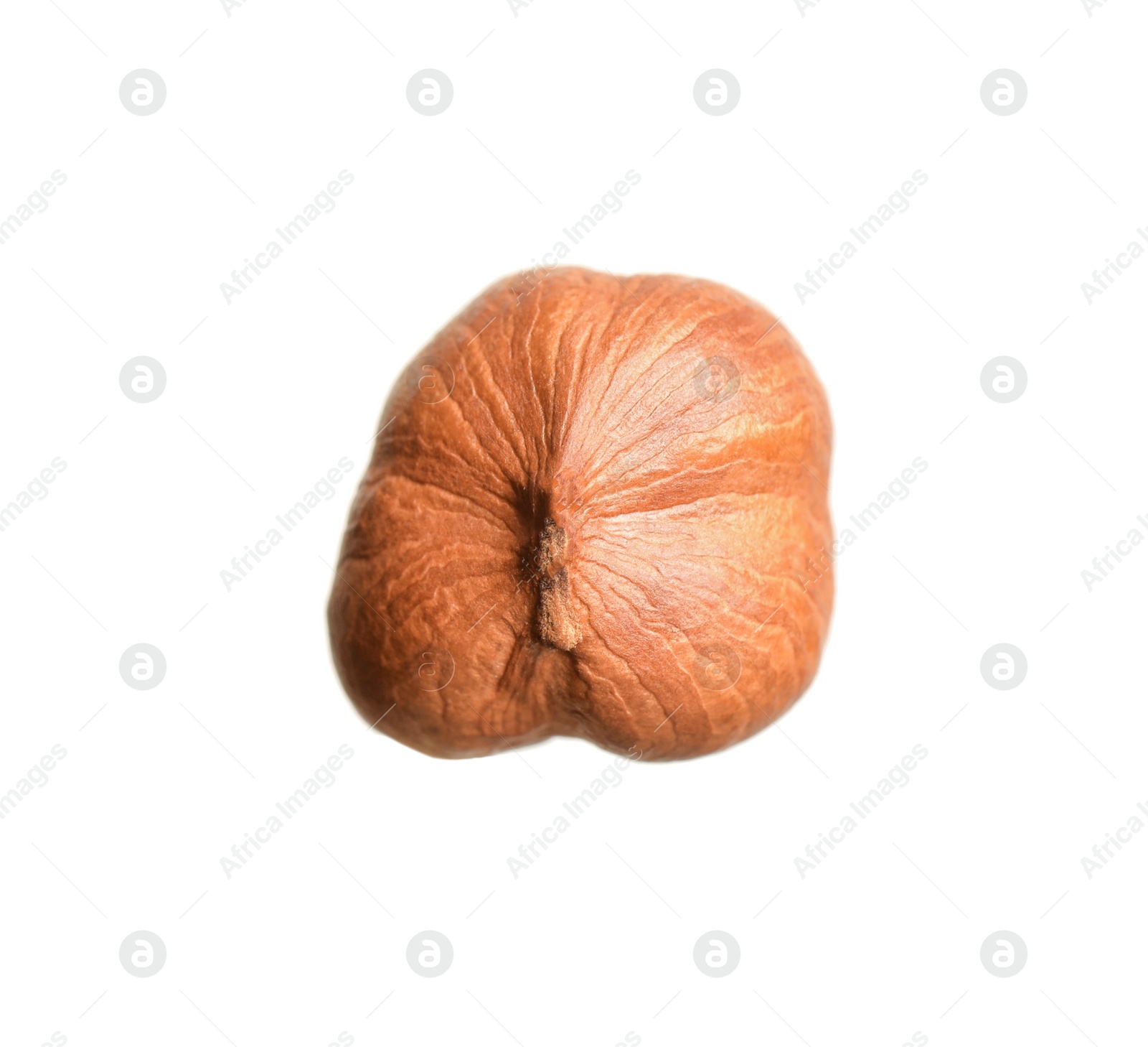 Photo of Tasty organic hazelnut isolated on white. Healthy snack