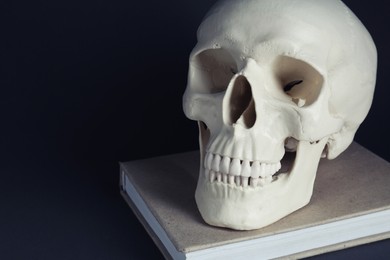 Photo of White human skull with book on black background, closeup. Space for text