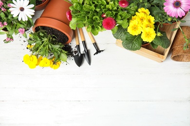 Photo of Composition with gardening equipment and flowers on wooden table, top view