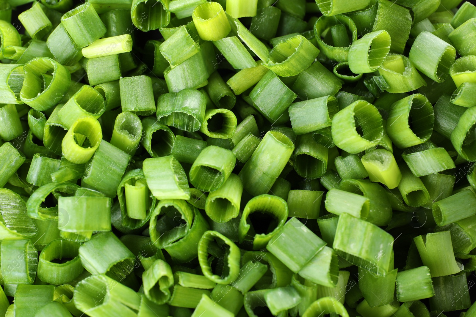 Photo of Cut fresh green onions as background, top view