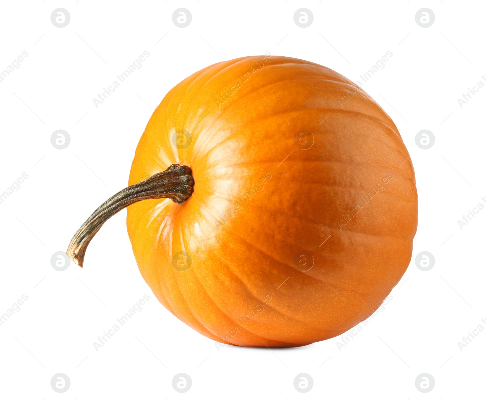 Photo of One fresh orange pumpkin isolated on white