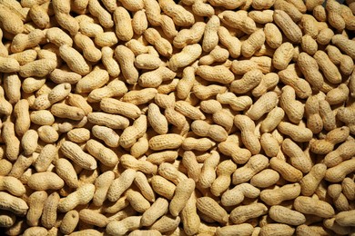 Photo of Many fresh unpeeled peanuts as background, top view