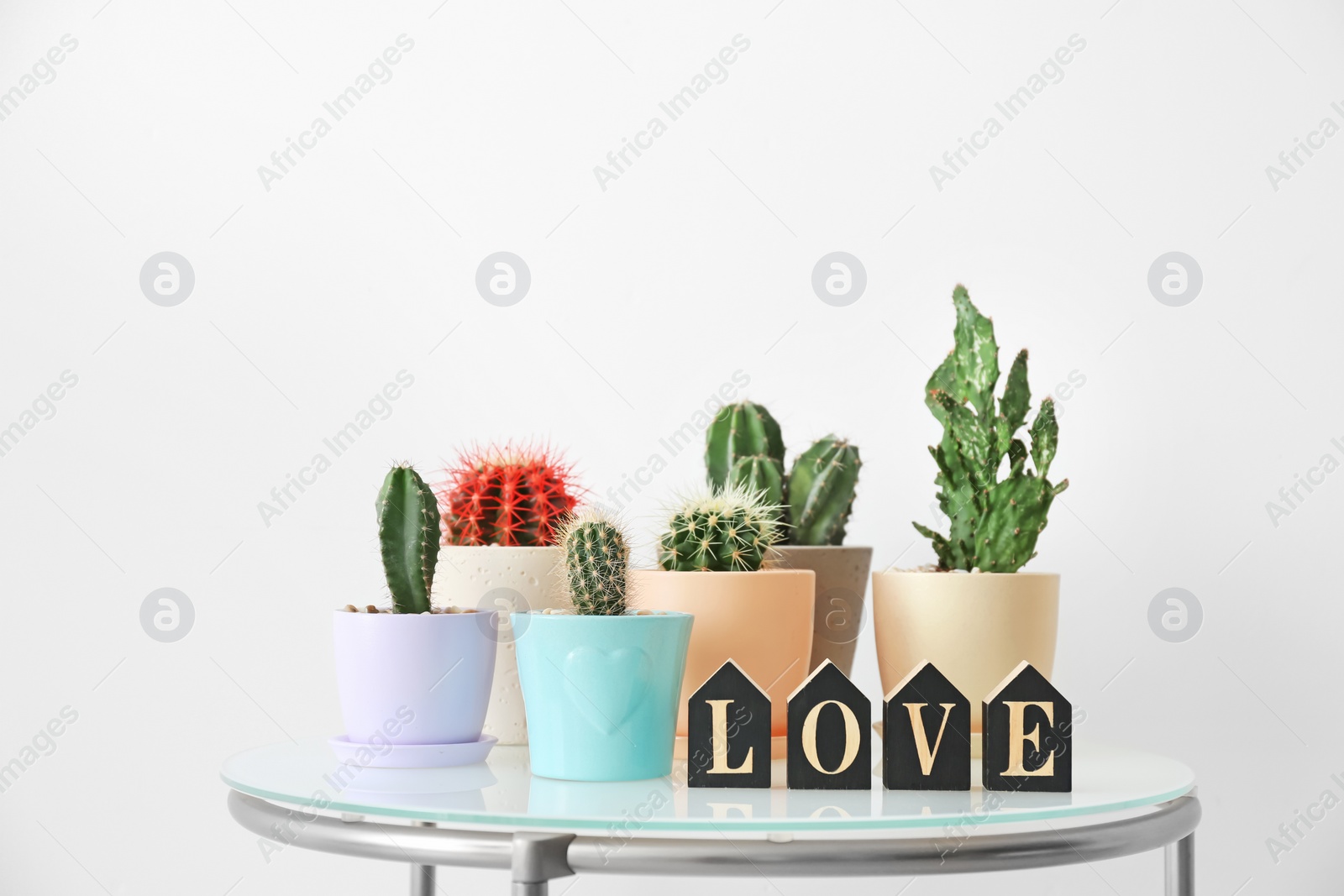 Photo of Beautiful cacti on table against light background