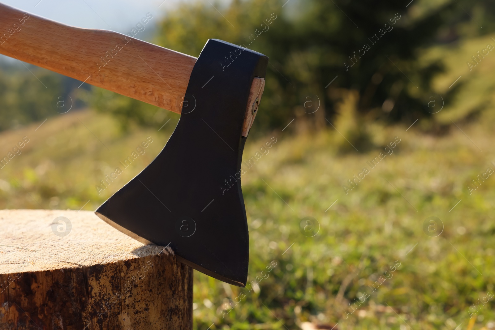 Photo of Tree stump with axe outdoors, closeup. Space for text