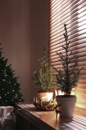 Photo of Beautiful room interior decorated with potted firs