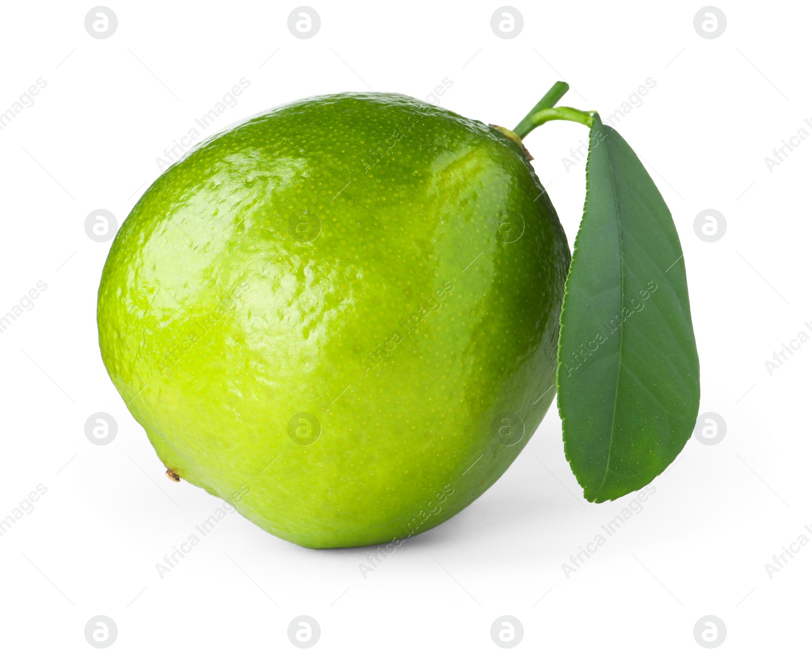 Photo of Fresh green ripe lime with leaf isolated on white