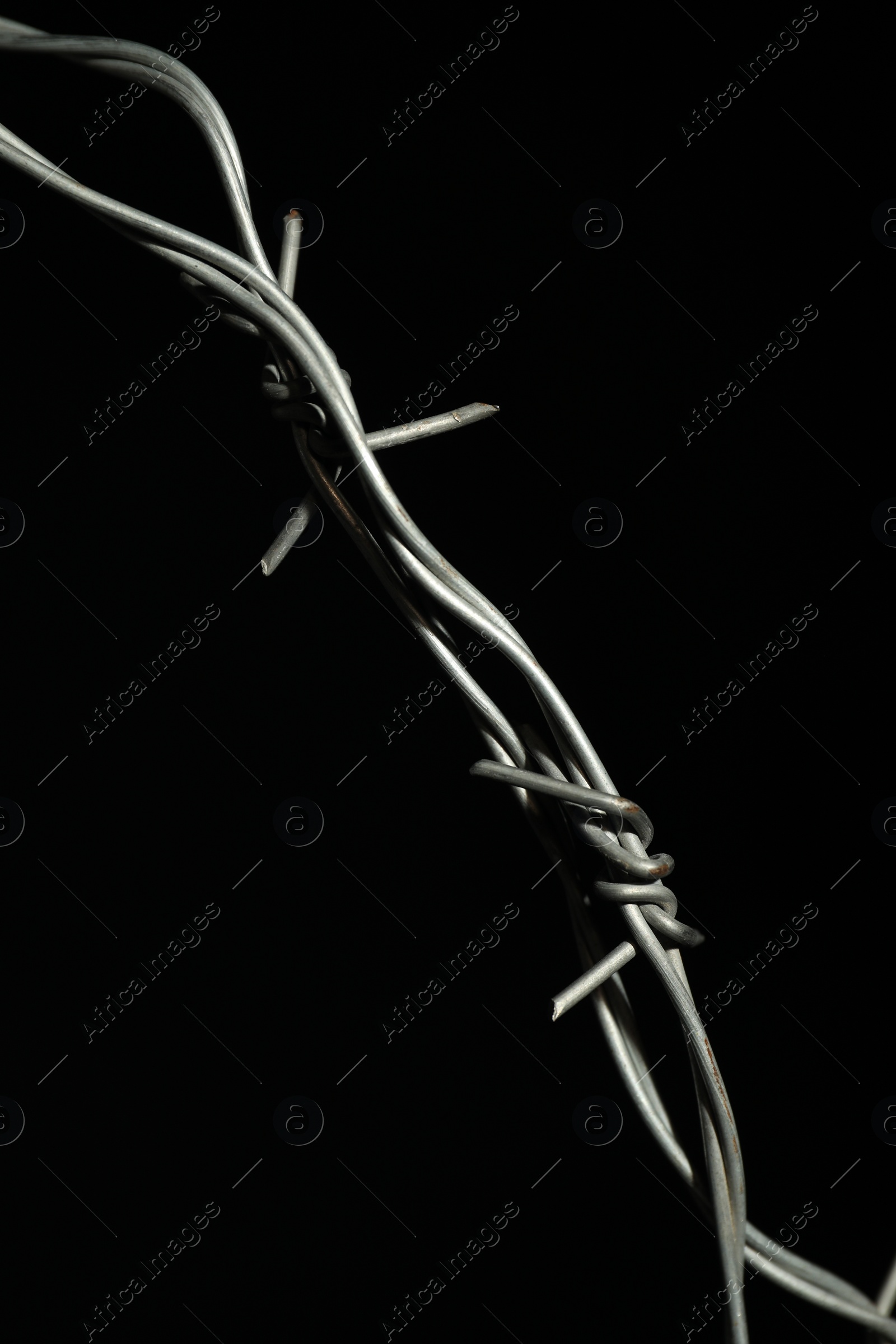 Photo of Metal barbed wire on black background, closeup