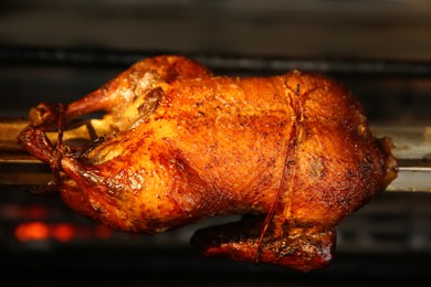 Grilling whole delicious duck in rotisserie machine, closeup