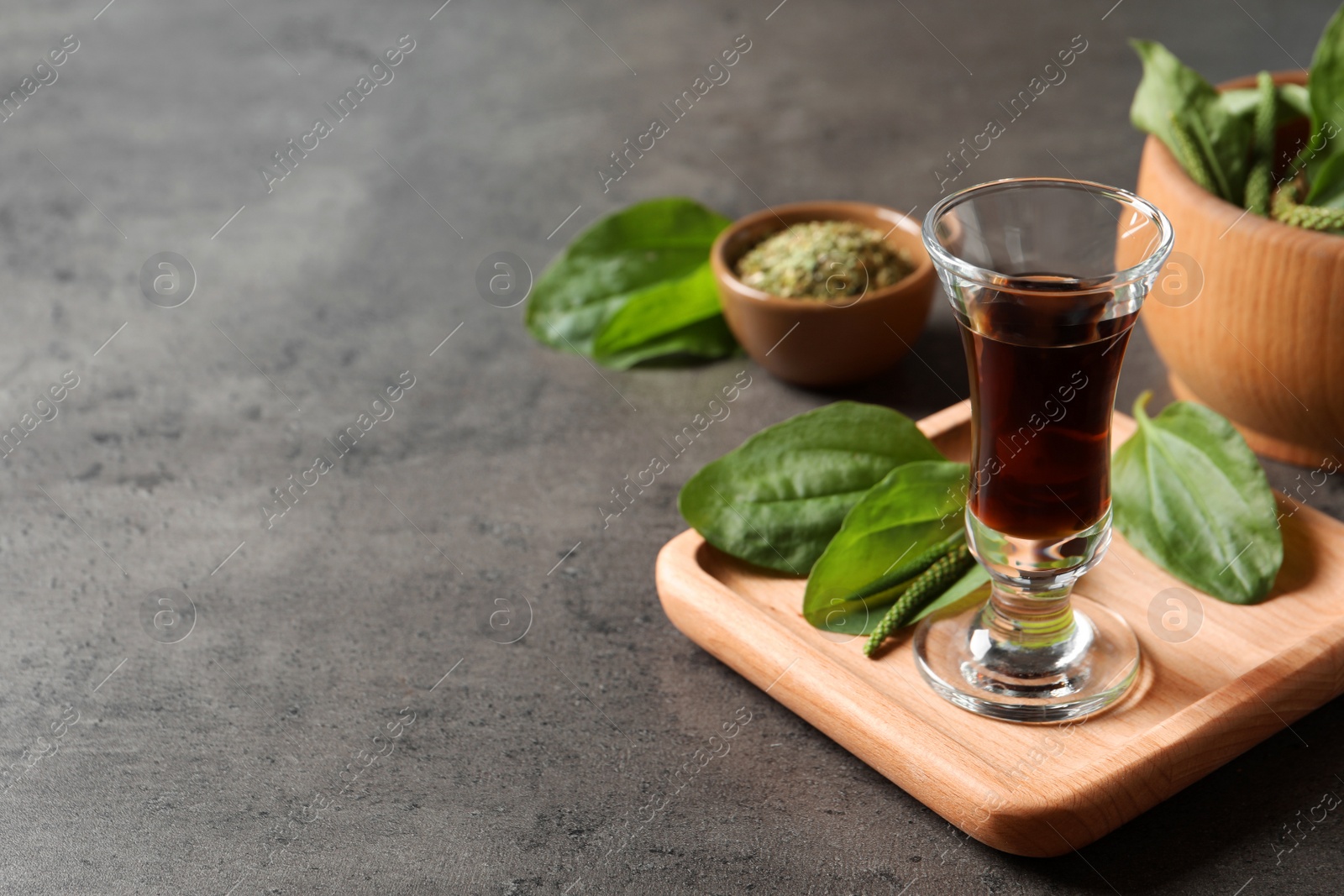 Photo of Broadleaf plantain tincture on grey table, space for text