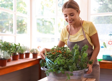 Photo of Young woman taking care of home plants at wooden table in shop
