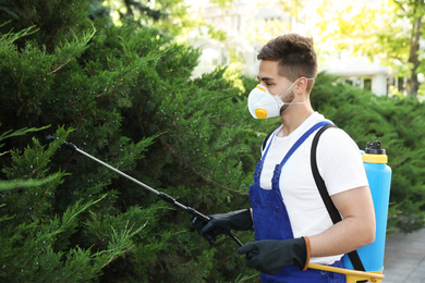 Photo of Worker spraying pesticide onto green bush outdoors. Pest control