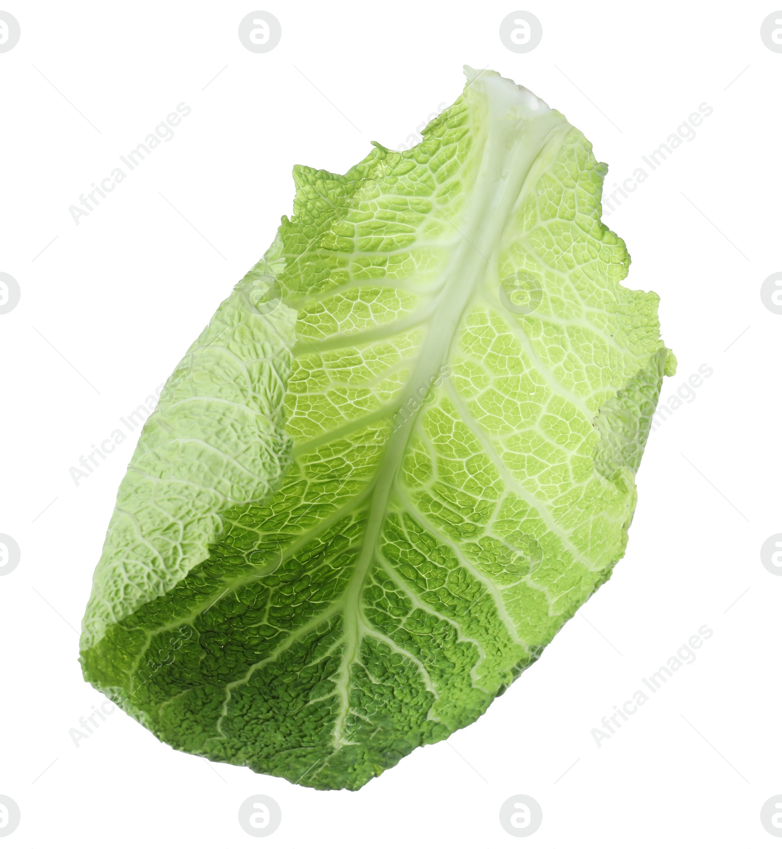 Photo of Fresh savoy cabbage leaf isolated on white