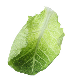 Fresh savoy cabbage leaf isolated on white