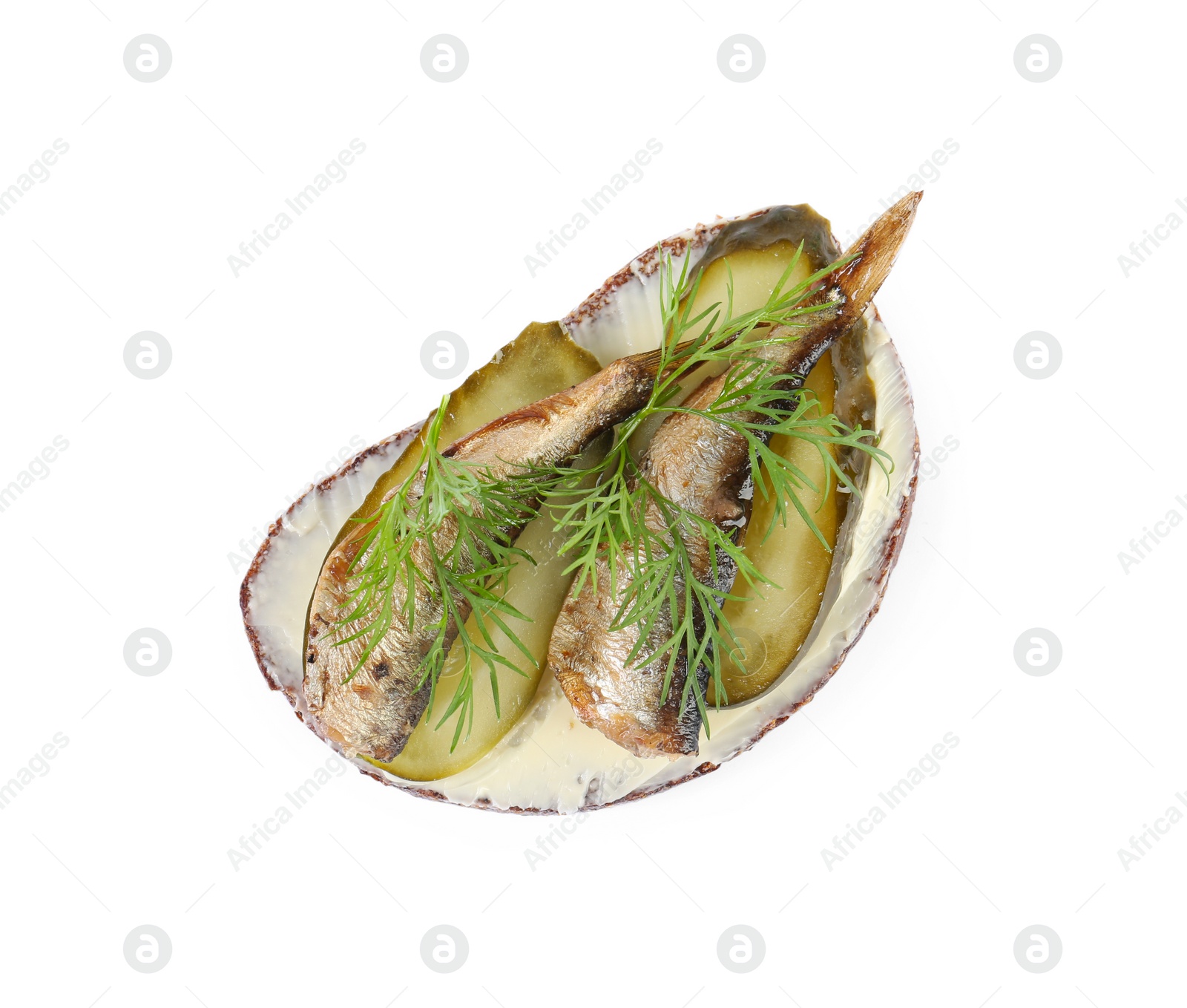 Delicious sandwich with smoked sprats, pickled cucumber and dill isolated on white, top view Photo of Delicious sandwich with smoked sprats, pickled cucumber and dill isolated on white, top view