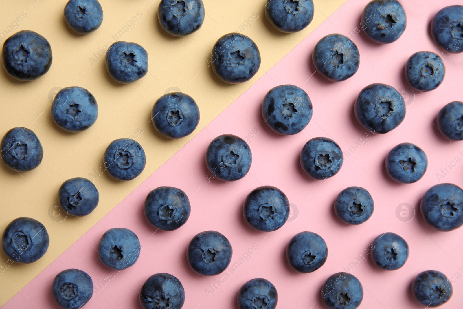 Photo of Flat lay composition with tasty blueberry on color background