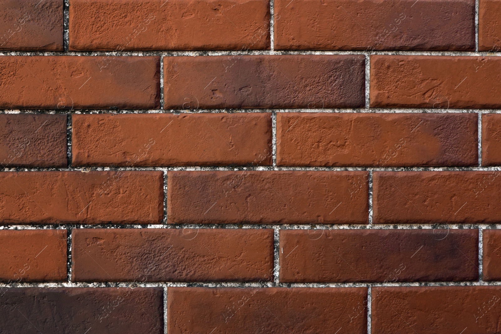 Photo of Texture of dark red brick wall as background