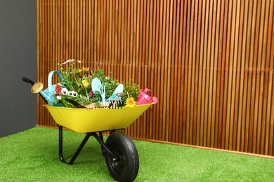Wheelbarrow with flowers and gardening tools near wooden wall. Space for text