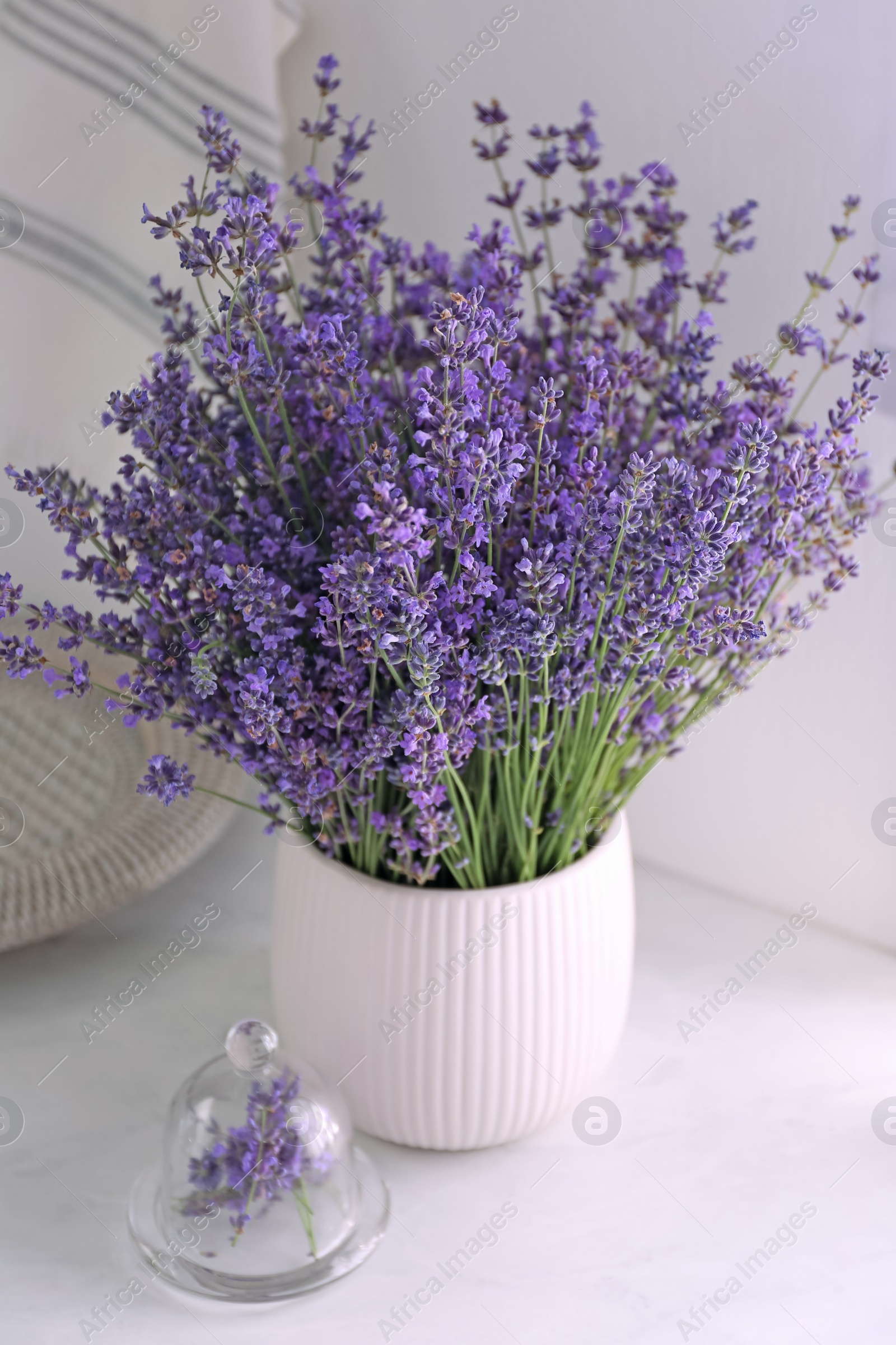 Photo of Beautiful lavender flowers on white table indoors
