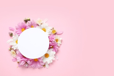 Flat lay composition with beautiful chamomile flowers and blank card on pink background. Space for text