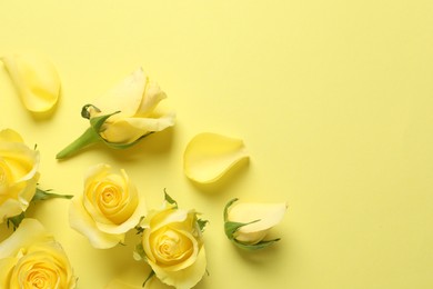 Beautiful roses and petals on yellow background, flat lay. Space for text