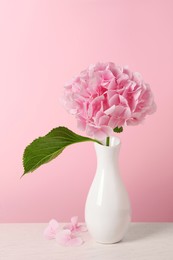 Vase with beautiful hortensia flowers on white wooden table against pink background