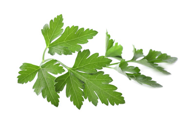 Fresh green organic parsley isolated on white