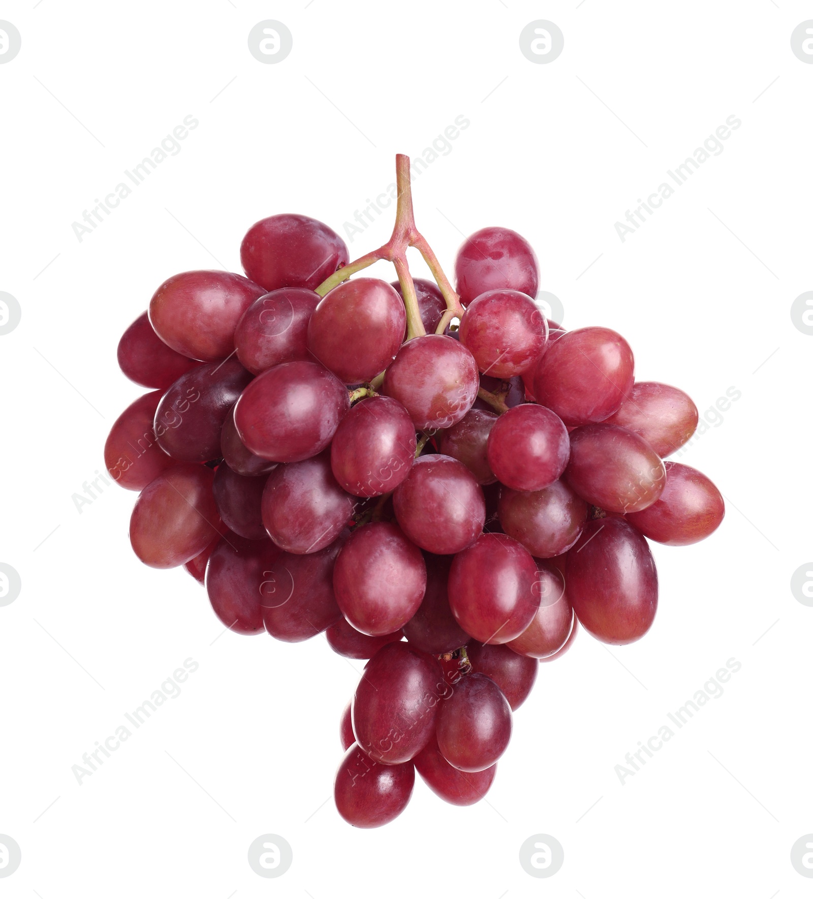 Photo of Bunch of red fresh ripe juicy grapes isolated on white