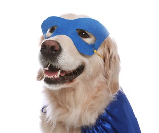 Adorable dog in blue superhero cape and mask on white background