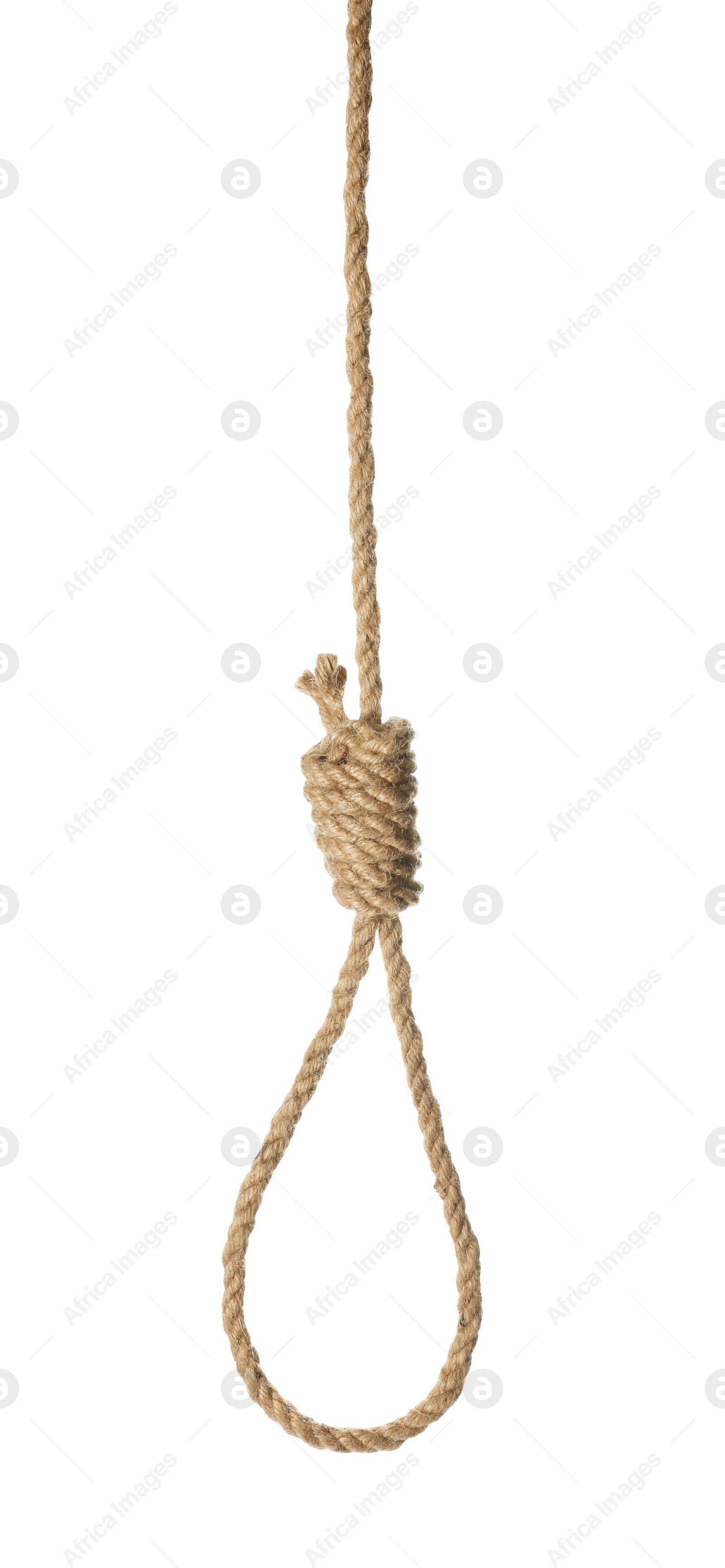 Photo of Rope noose with knot isolated on white