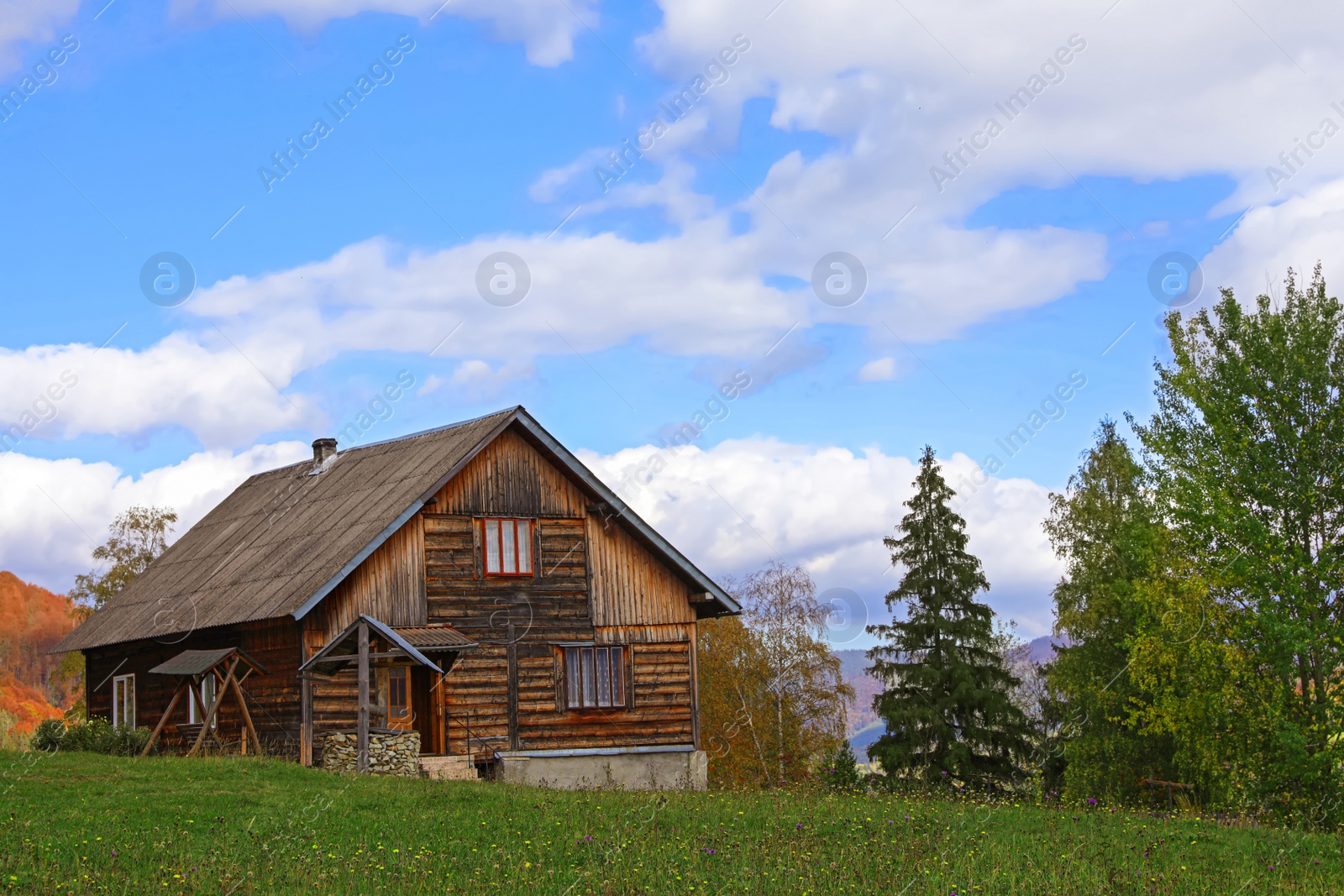 Photo of Beautiful wooden house and green trees in mountains