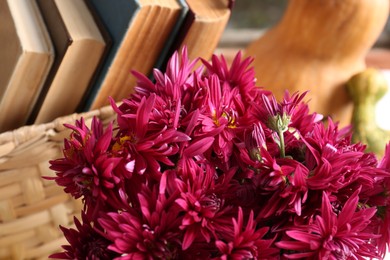 Photo of Beautiful fresh chrysanthemum flowers near wicker basket with books, closeup view