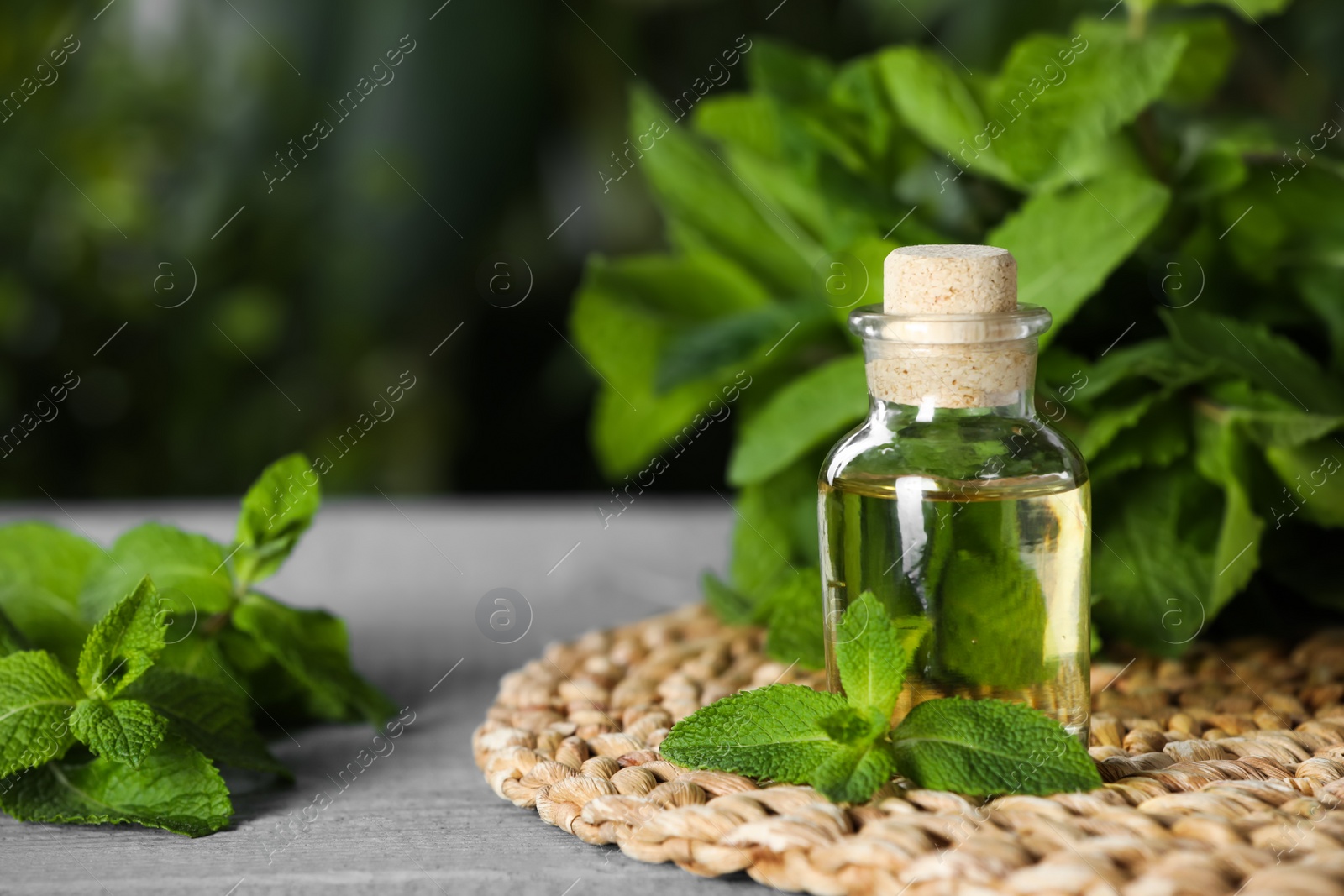 Photo of Bottle of mint essential oil and green leaves on grey wooden table, closeup. Space for text