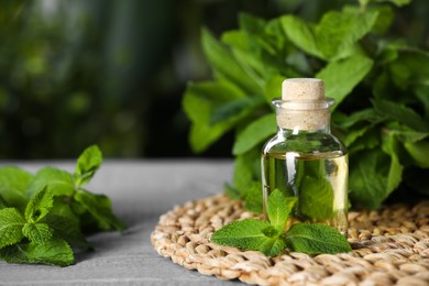 Photo of Bottle of mint essential oil and green leaves on grey wooden table, closeup. Space for text