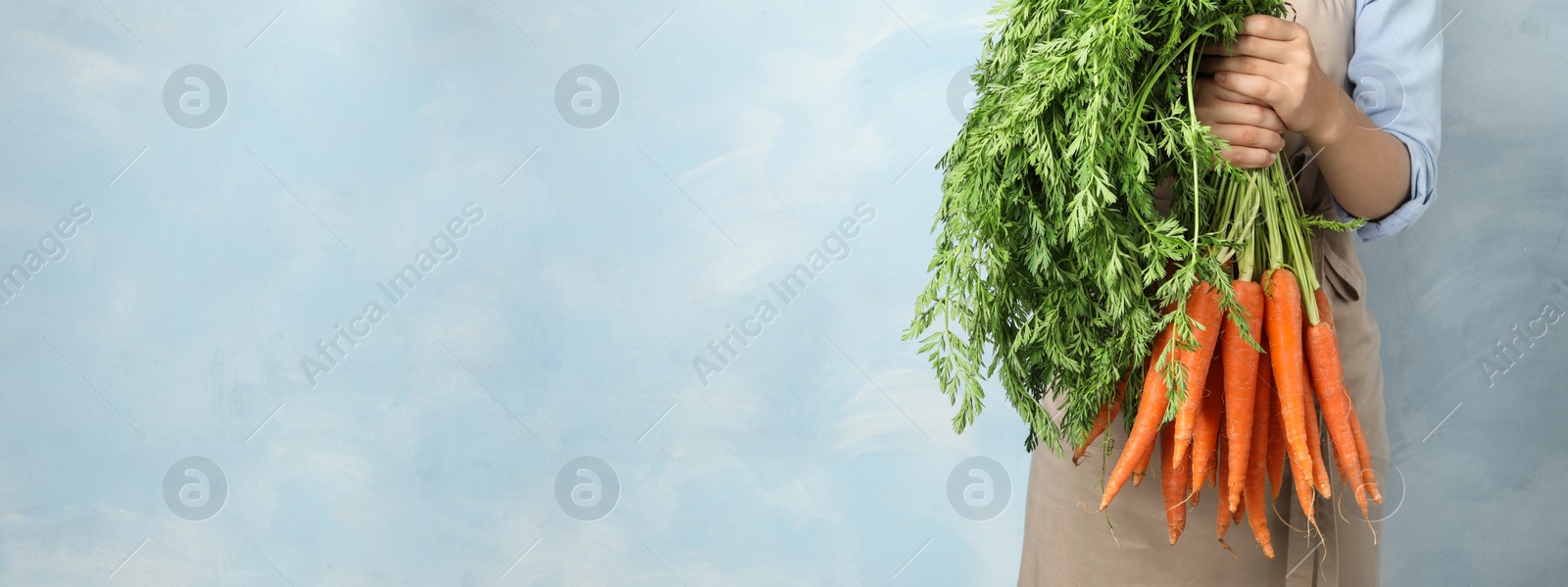 Image of Woman holding fresh ripe carrots against light blue background, closeup with space for text. Banner design 